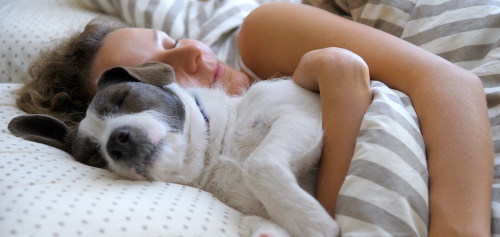 Lady sleeping next to dog