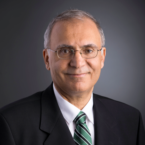 Saeed Moaveni