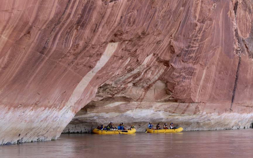 Tiger Wall. Photo: Eric Newell