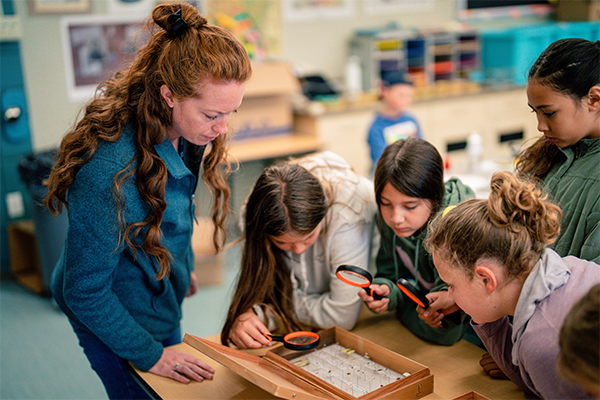 Summer Bee Camp at Edith Bowen Provides Garden-Based STEAM Learning for 3rd and 4th Graders