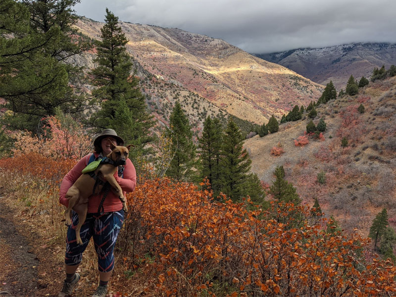 Spotlight: Lisa Lundgren | ITLS
