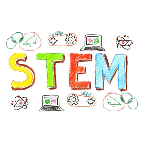 supporting stem