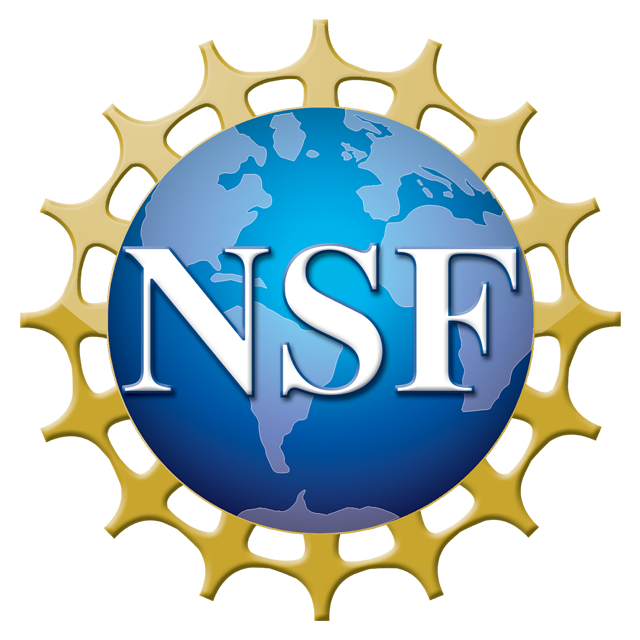 nsf logo