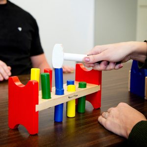 Sensory Motor Behavior Lab