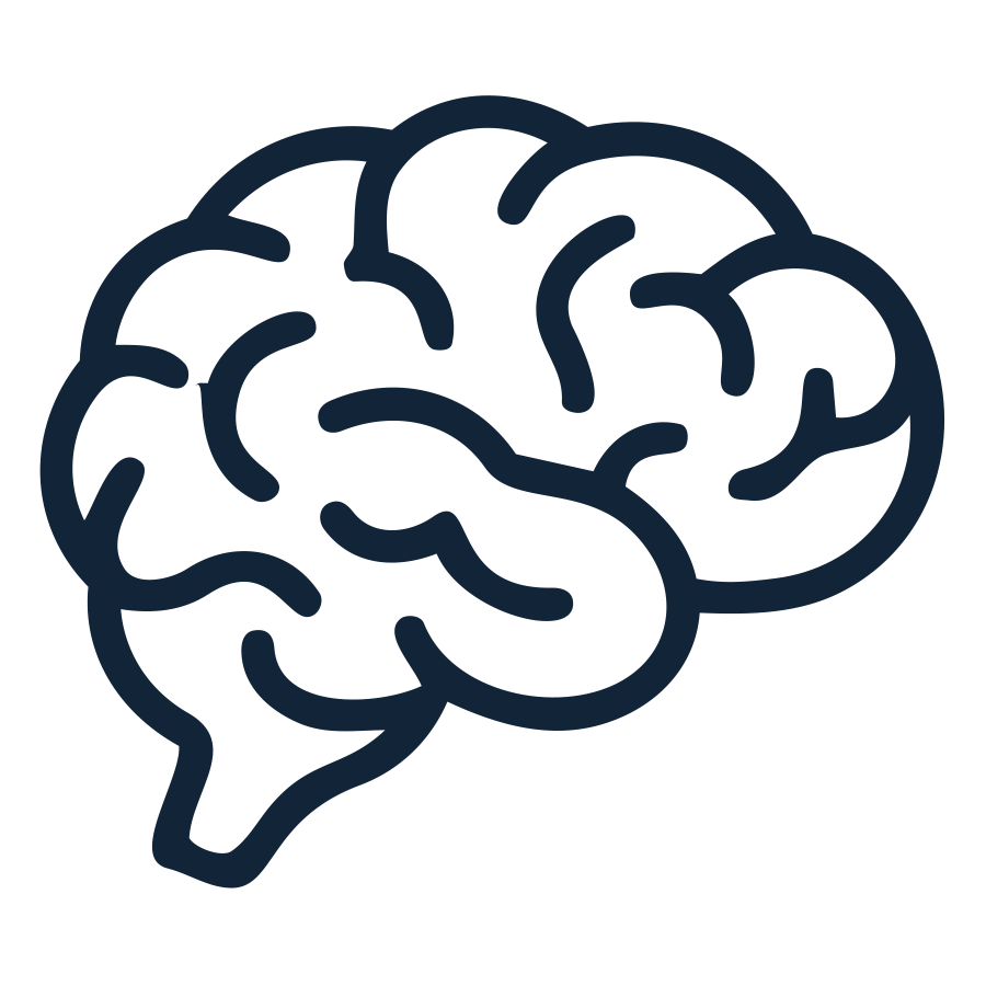 Brain icon