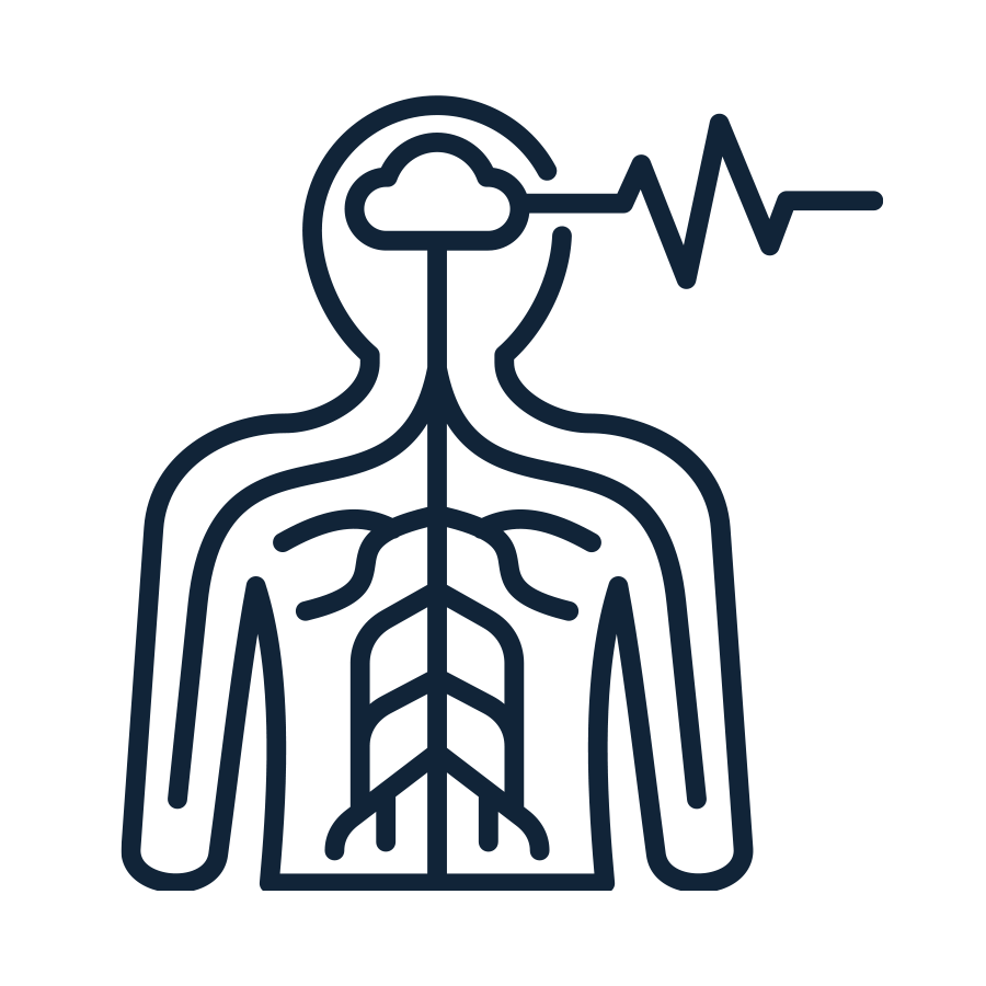 Nervous System