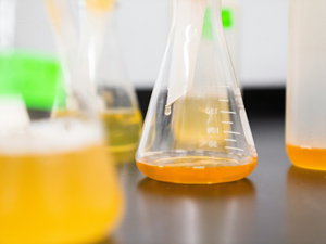Chemistry lab flasks with solutions in them.