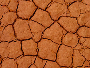Cracks in Earth.