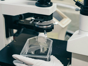 A person observing something under a microscope.